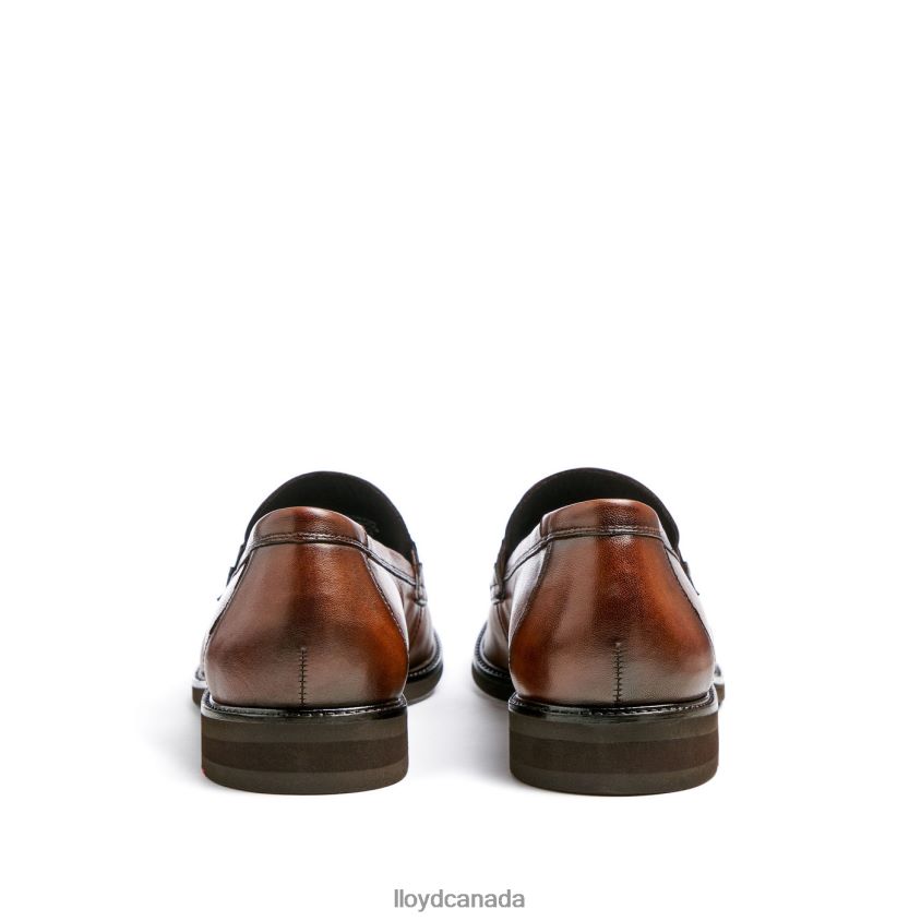 REYNOLD LLOYD Men brown R084ZF56 Shoes