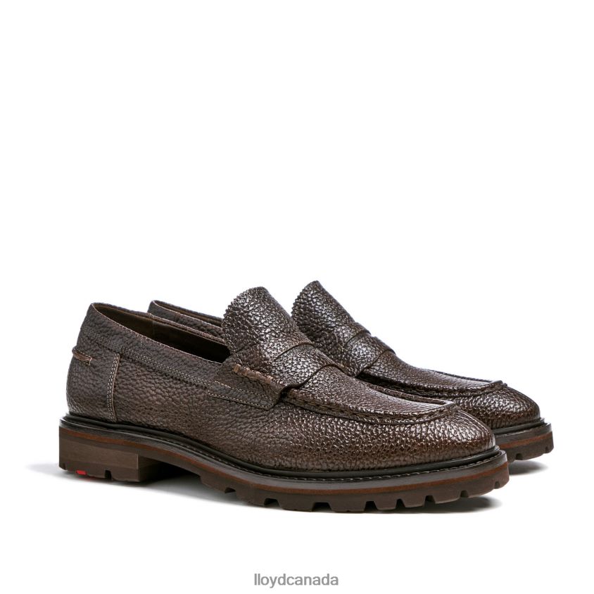 RINGO LLOYD Men brown R084ZF72 Shoes