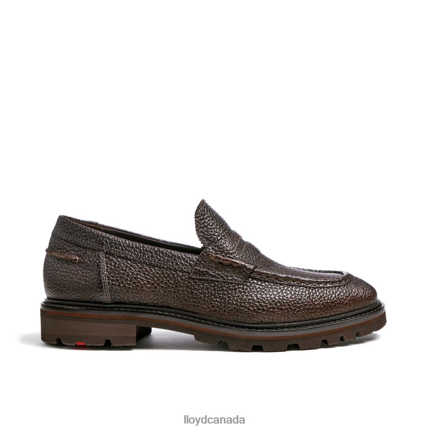 RINGO LLOYD Men brown R084ZF72 Shoes