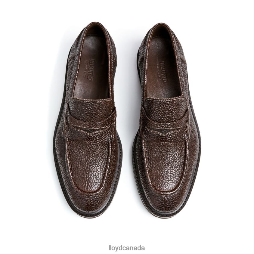 RINGO LLOYD Men brown R084ZF72 Shoes