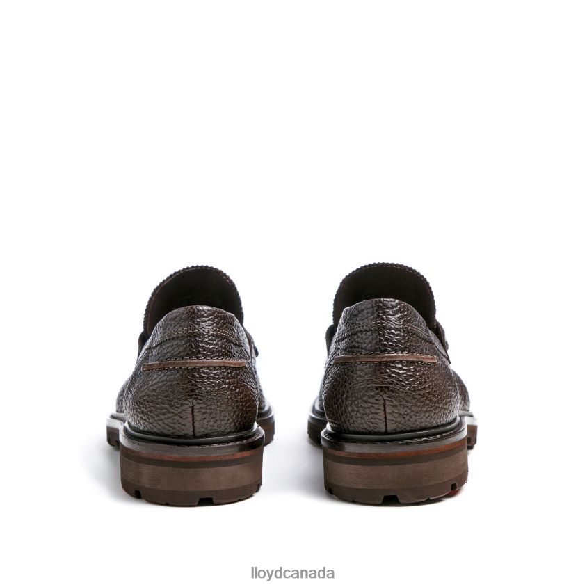 RINGO LLOYD Men brown R084ZF72 Shoes