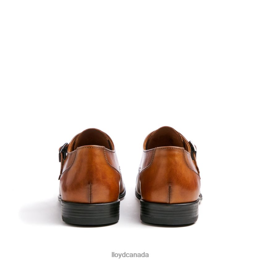 MAILAND LLOYD Men brown R084ZF104 Shoes