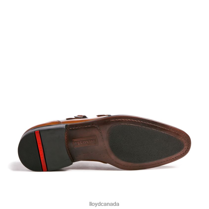 MAILAND LLOYD Men brown R084ZF104 Shoes