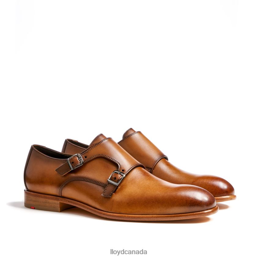 SALVADOR LLOYD Men brown R084ZF223 Shoes