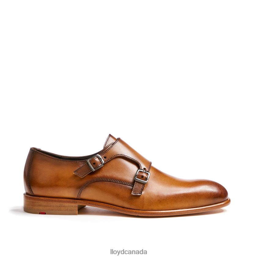 SALVADOR LLOYD Men brown R084ZF223 Shoes