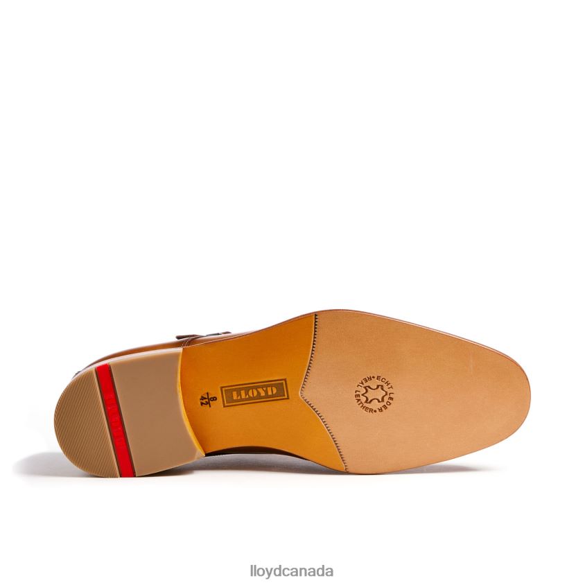 SALVADOR LLOYD Men brown R084ZF223 Shoes