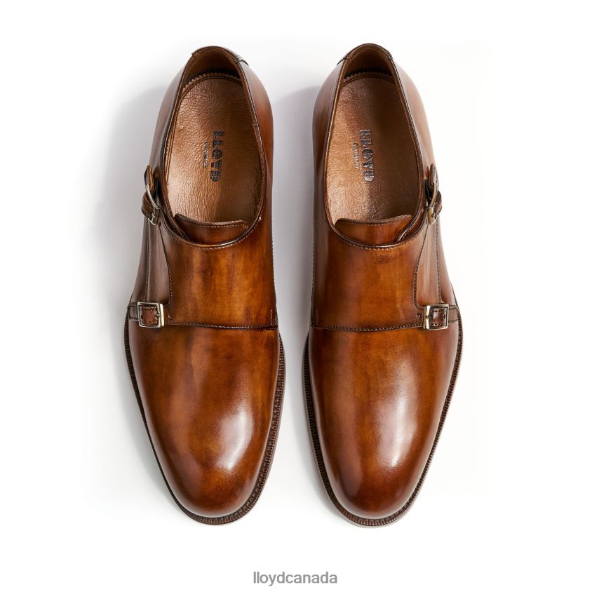 SHEPPARD LLOYD Men brown R084ZF215 Shoes