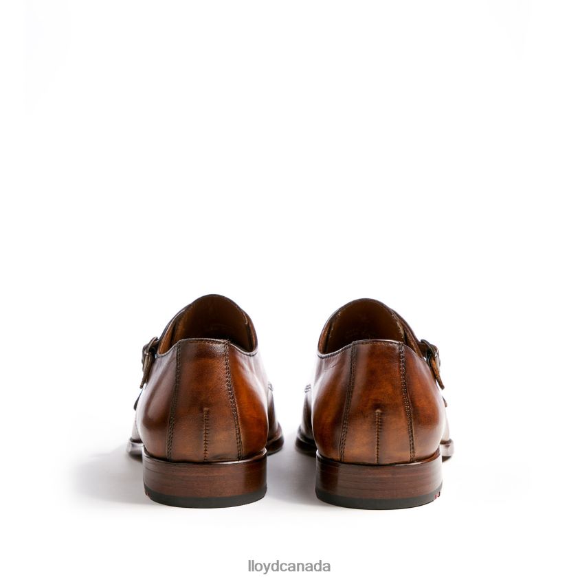 SHEPPARD LLOYD Men brown R084ZF215 Shoes