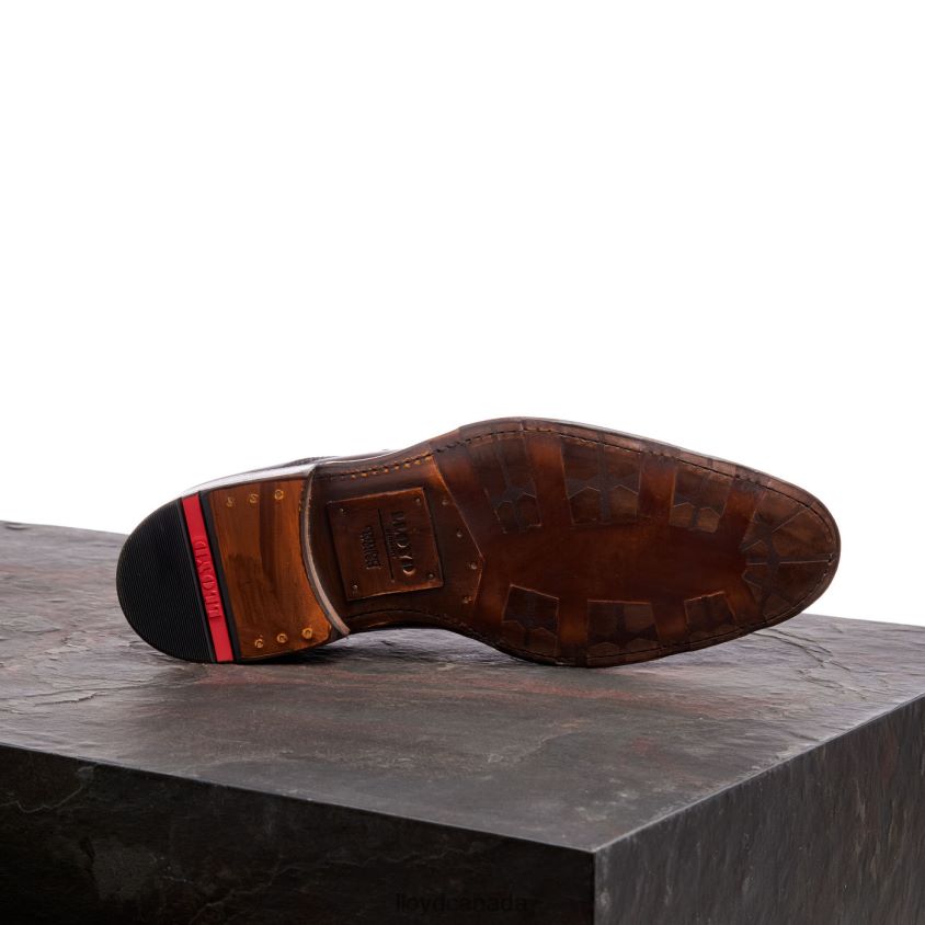 WARNER LLOYD Men brown R084ZF147 Shoes