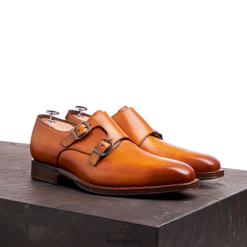 WAYLON LLOYD Men brown R084ZF184 Shoes