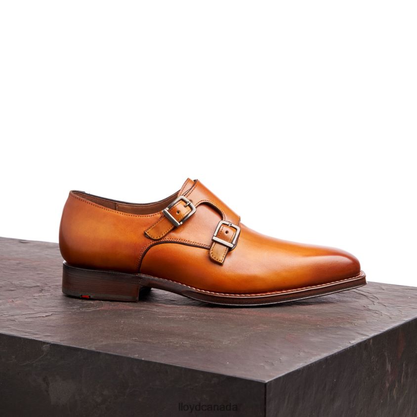 WAYLON LLOYD Men brown R084ZF184 Shoes