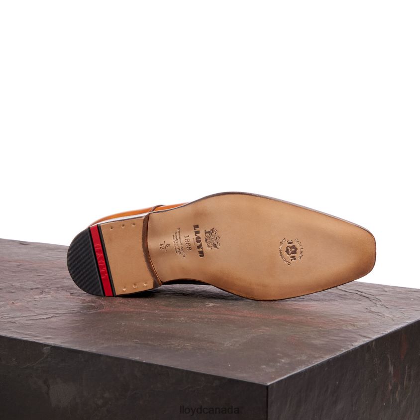 WAYLON LLOYD Men brown R084ZF184 Shoes