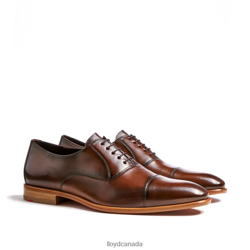 PARCAS LLOYD Men brown R084ZF156 Shoes