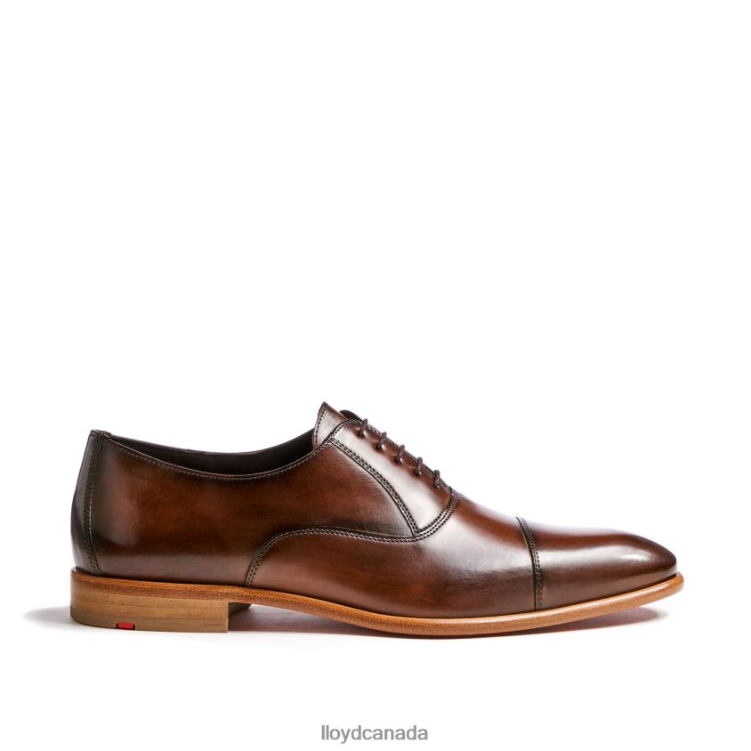 PARCAS LLOYD Men brown R084ZF156 Shoes