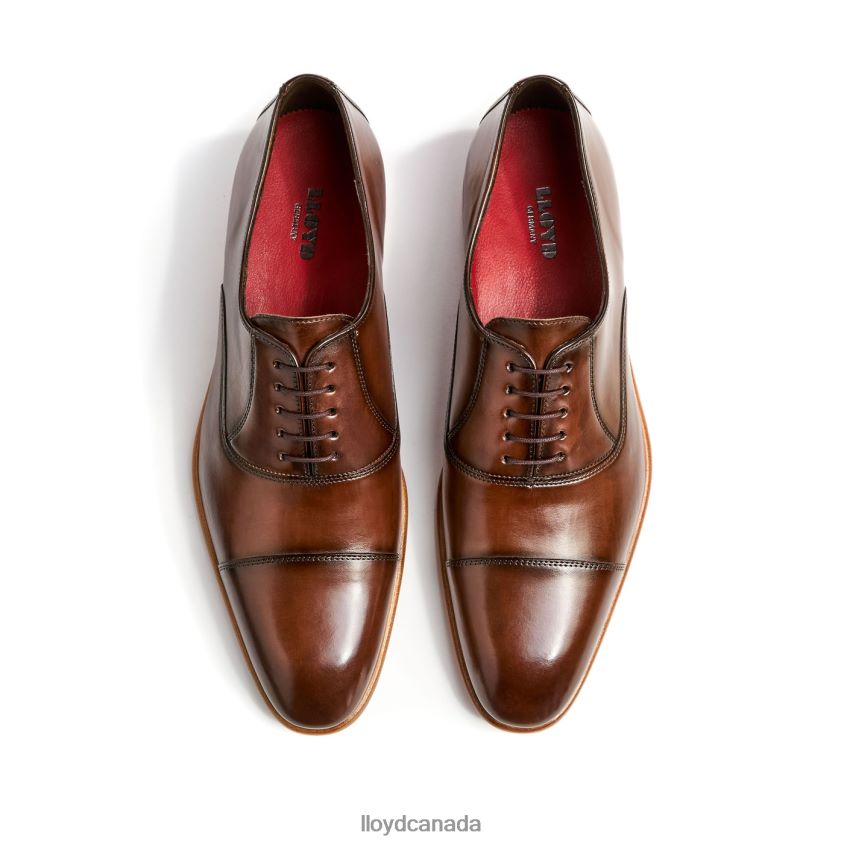 PARCAS LLOYD Men brown R084ZF156 Shoes