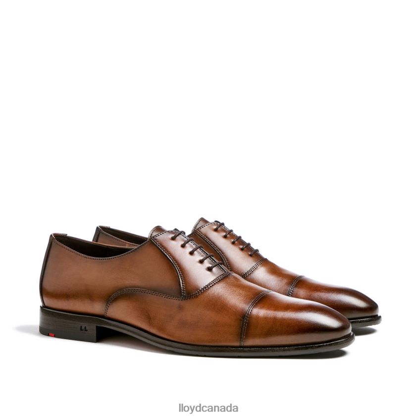 POOL LLOYD Men brown R084ZF1 Shoes