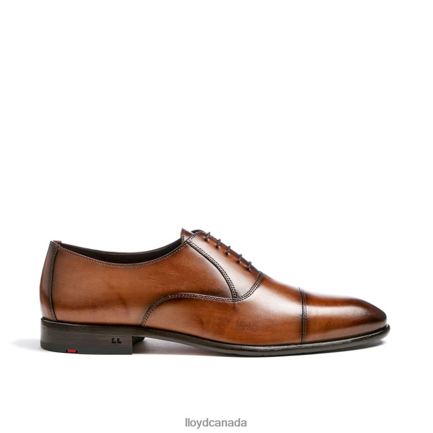 POOL LLOYD Men brown R084ZF1 Shoes