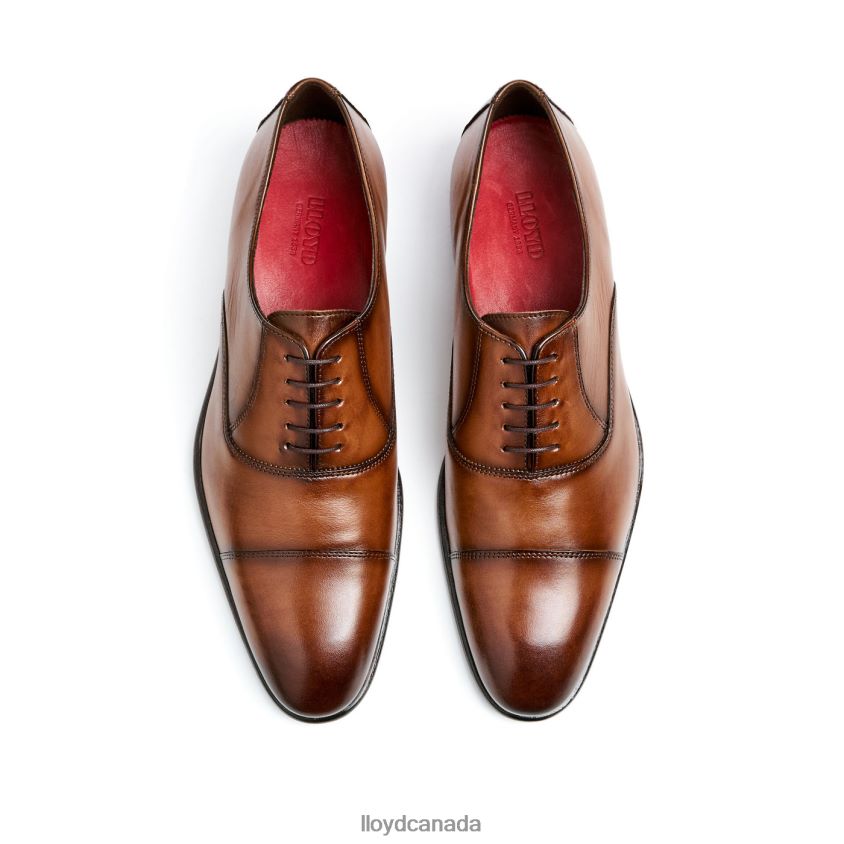 POOL LLOYD Men brown R084ZF1 Shoes