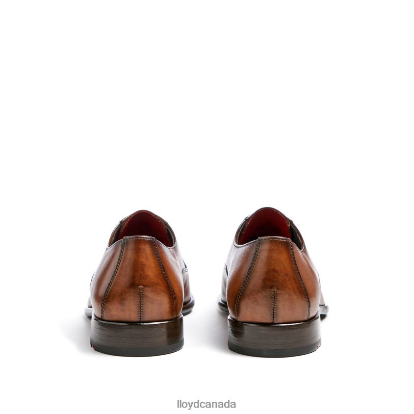 POOL LLOYD Men brown R084ZF1 Shoes