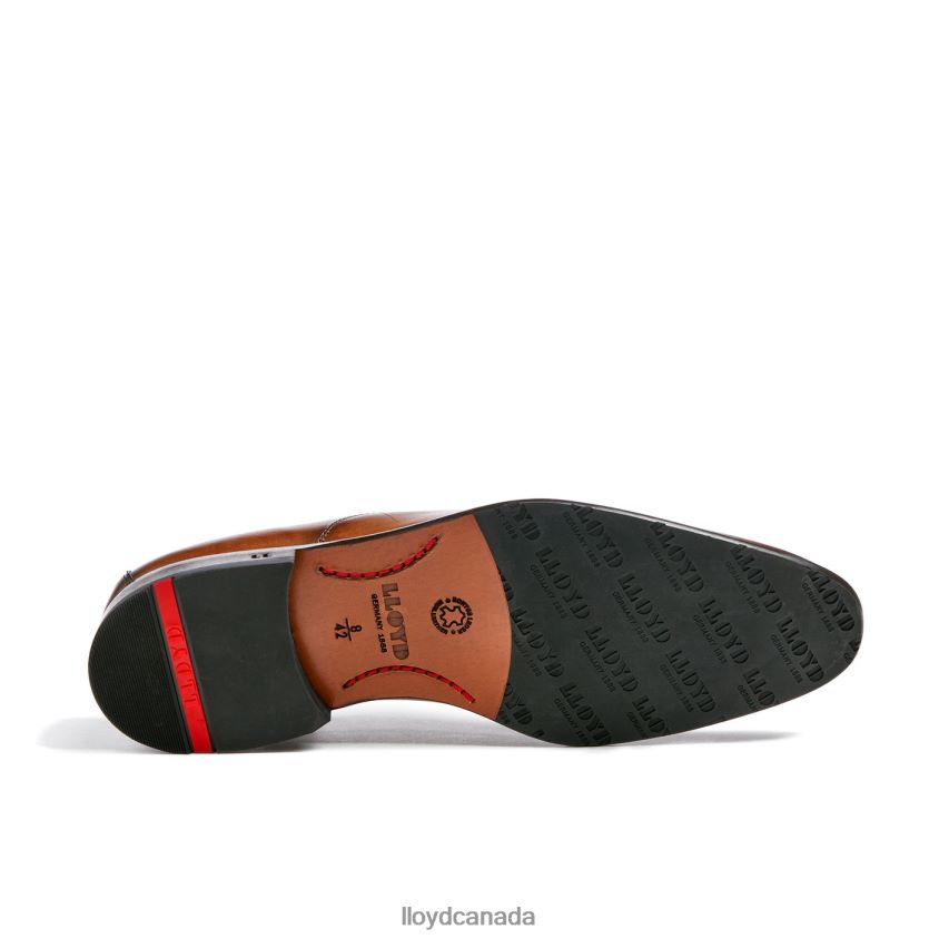 POOL LLOYD Men brown R084ZF1 Shoes