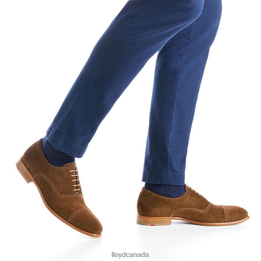 RANDO LLOYD Men brown R084ZF231 Shoes