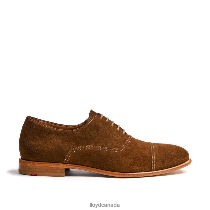 RANDO LLOYD Men brown R084ZF231 Shoes
