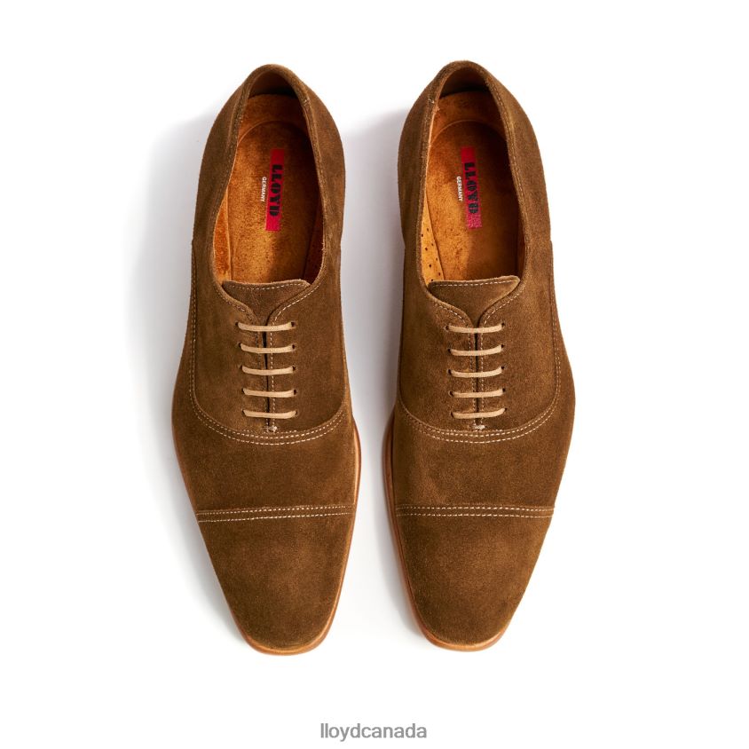RANDO LLOYD Men brown R084ZF231 Shoes