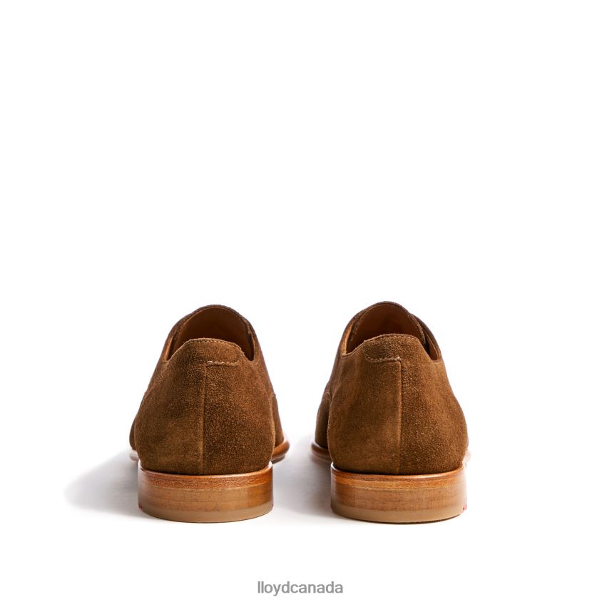 RANDO LLOYD Men brown R084ZF231 Shoes