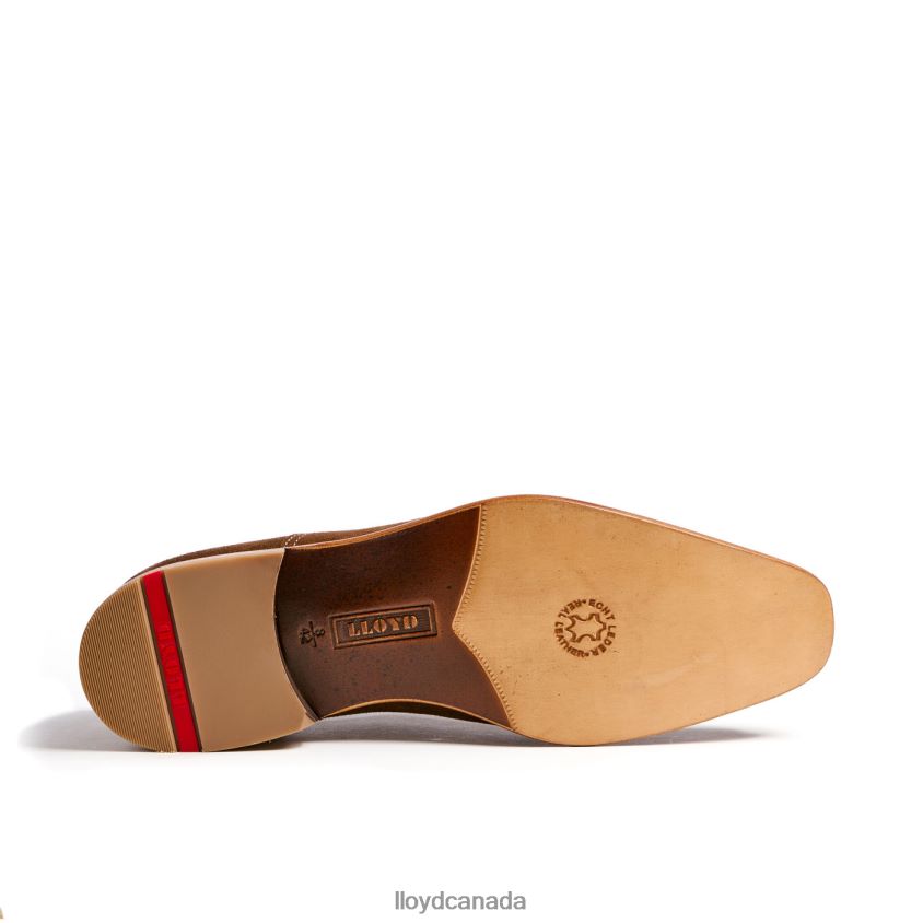 RANDO LLOYD Men brown R084ZF231 Shoes