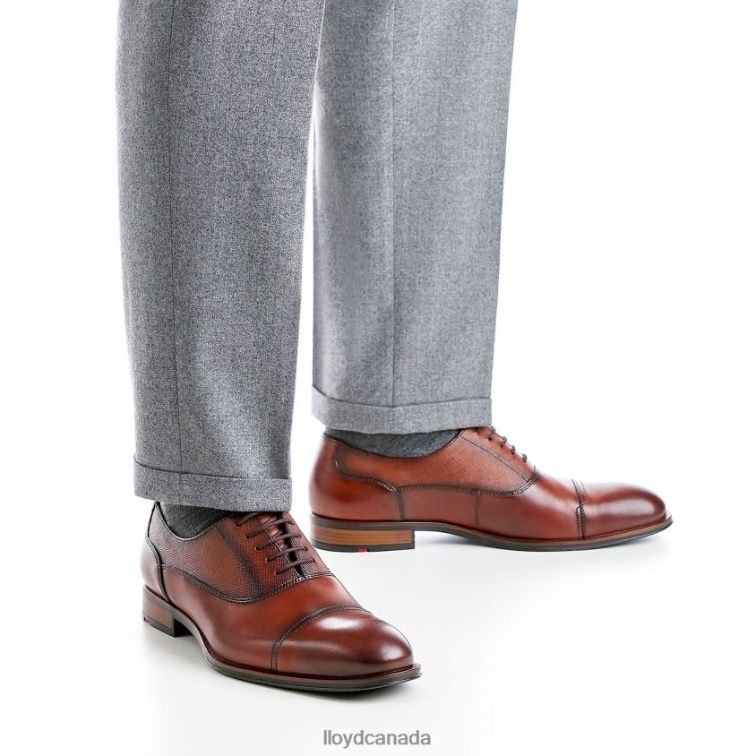 SANTIAGO LLOYD Men brown R084ZF238 Shoes