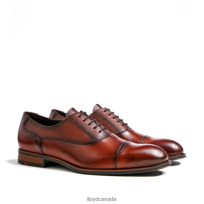 SANTIAGO LLOYD Men brown R084ZF238 Shoes