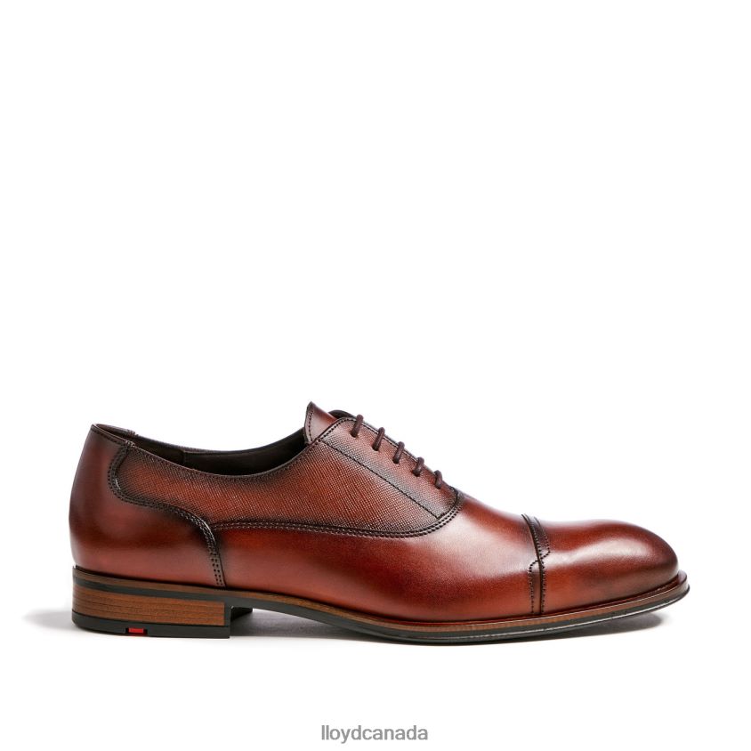 SANTIAGO LLOYD Men brown R084ZF238 Shoes