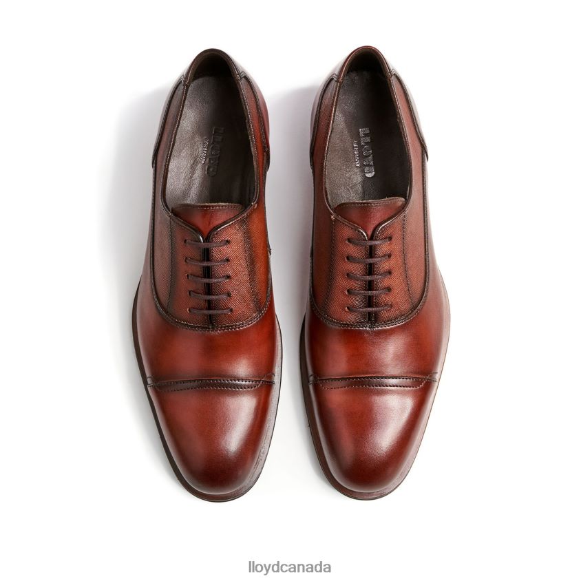 SANTIAGO LLOYD Men brown R084ZF238 Shoes