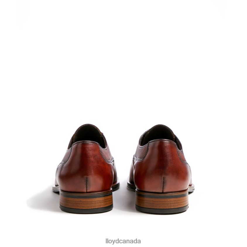 SANTIAGO LLOYD Men brown R084ZF238 Shoes