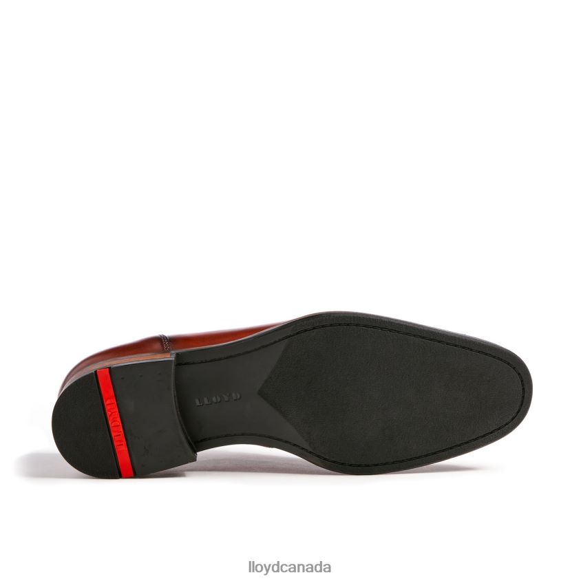 SANTIAGO LLOYD Men brown R084ZF238 Shoes
