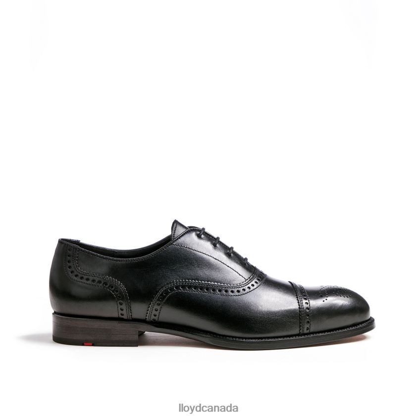 SHEFFIELD LLOYD Men black R084ZF214 Shoes