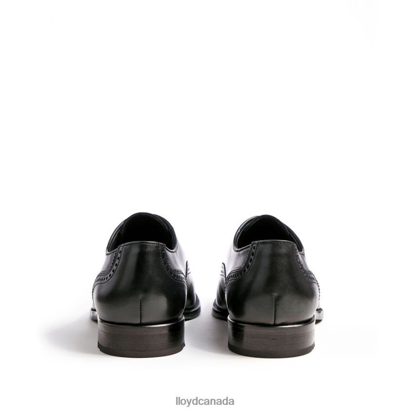 SHEFFIELD LLOYD Men black R084ZF214 Shoes