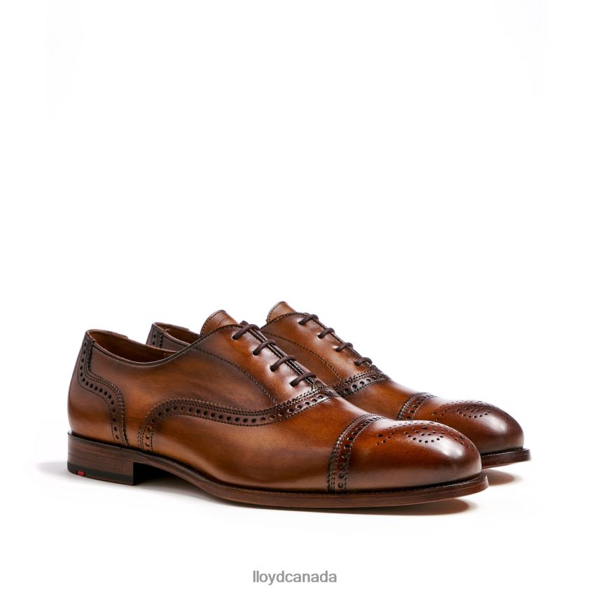 SHEFFIELD LLOYD Men brown R084ZF219 Shoes