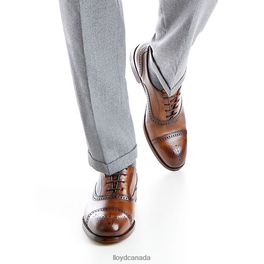 SHEFFIELD LLOYD Men brown R084ZF219 Shoes