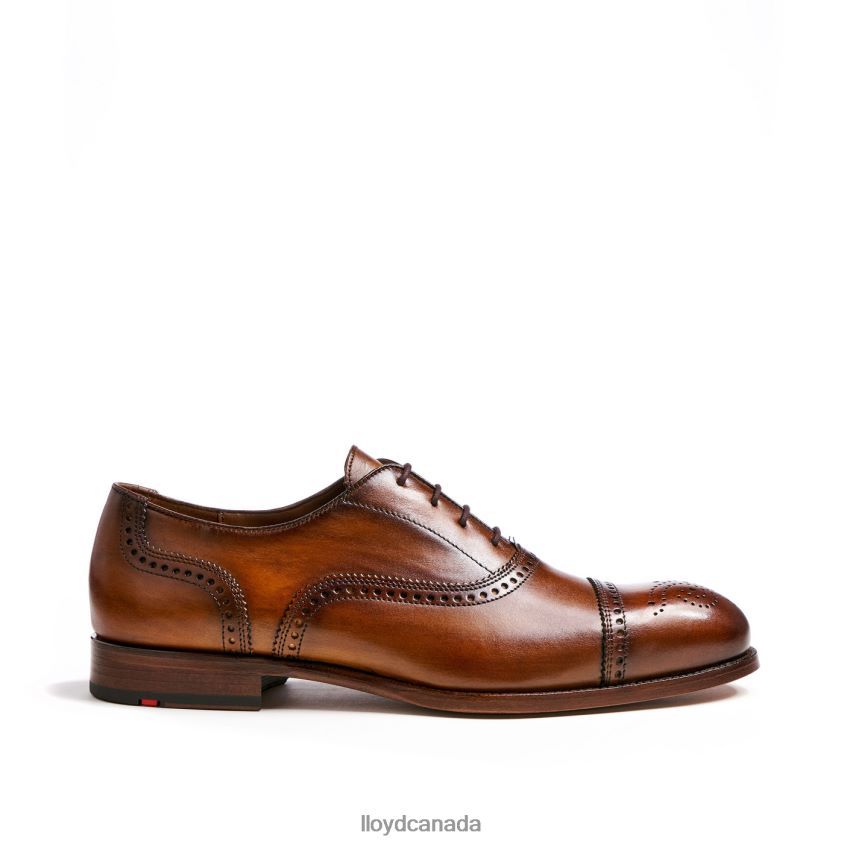 SHEFFIELD LLOYD Men brown R084ZF219 Shoes