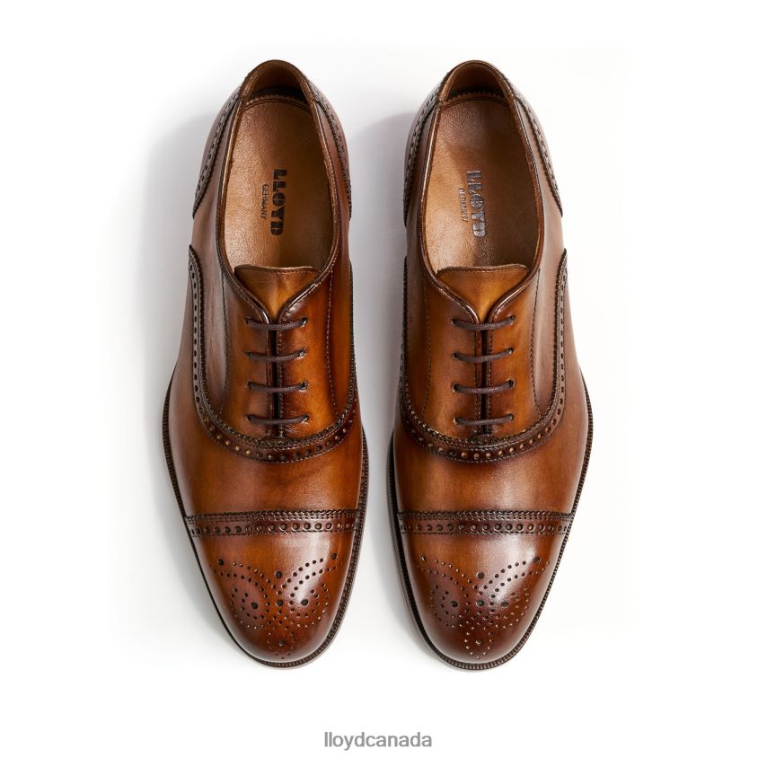 SHEFFIELD LLOYD Men brown R084ZF219 Shoes