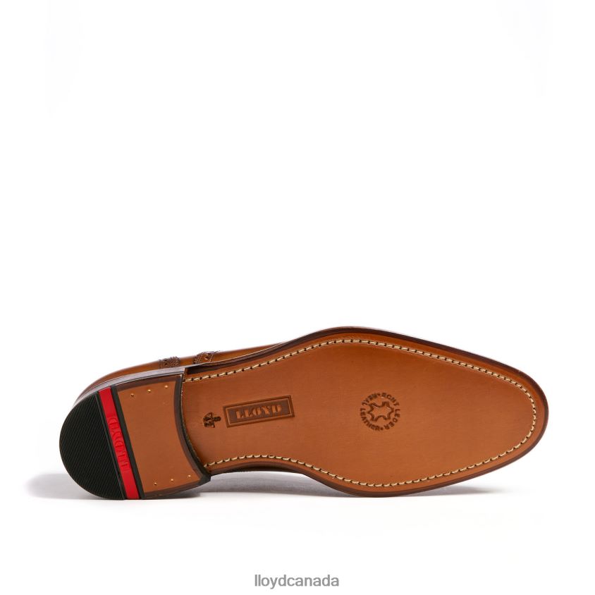 SHEFFIELD LLOYD Men brown R084ZF219 Shoes