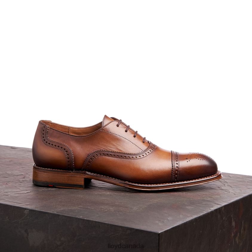 WATERLOO LLOYD Men brown R084ZF21 Shoes