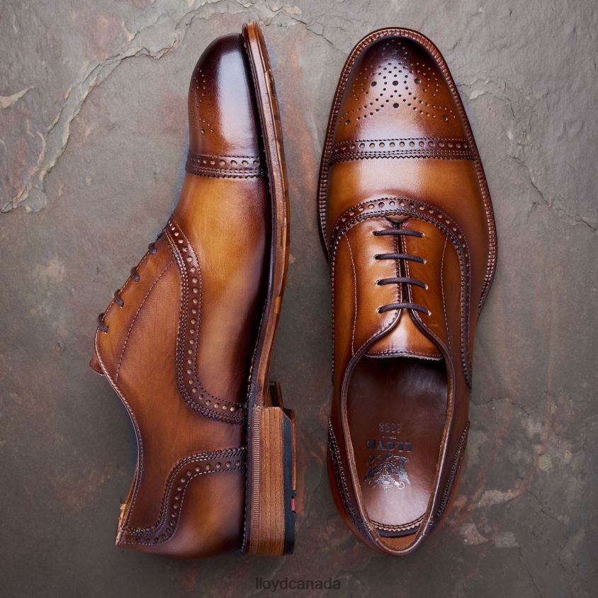 WATERLOO LLOYD Men brown R084ZF21 Shoes