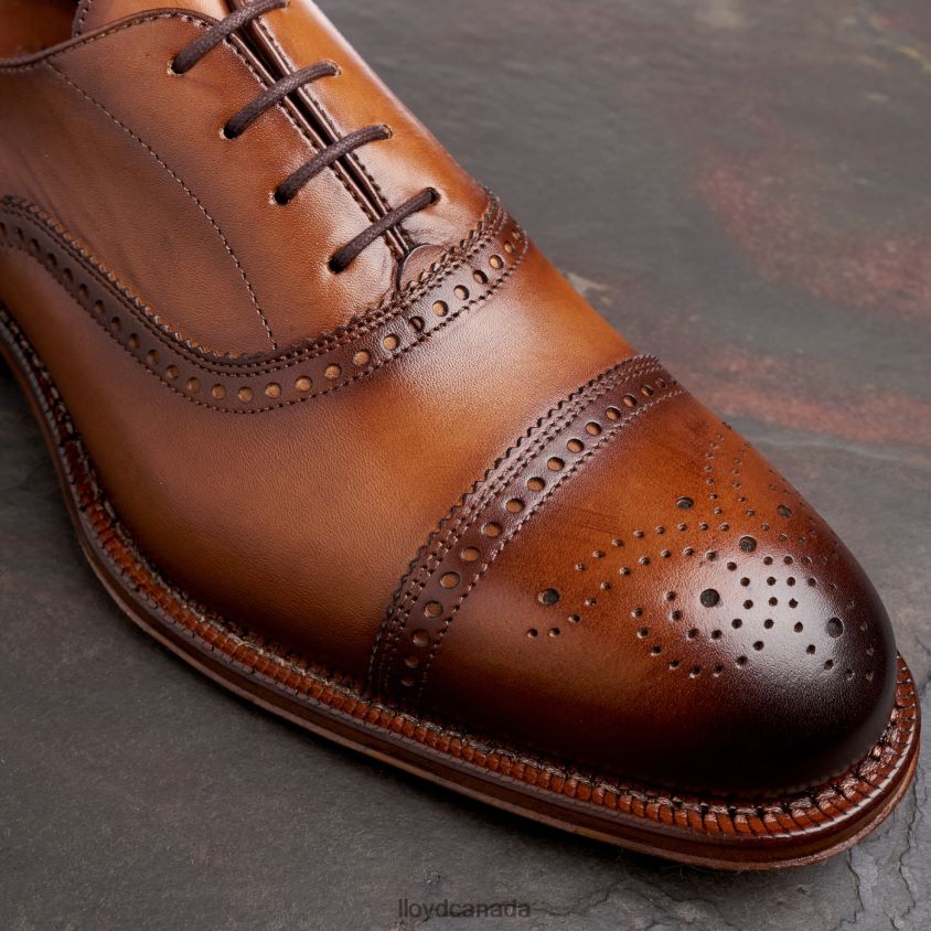 WATERLOO LLOYD Men brown R084ZF21 Shoes