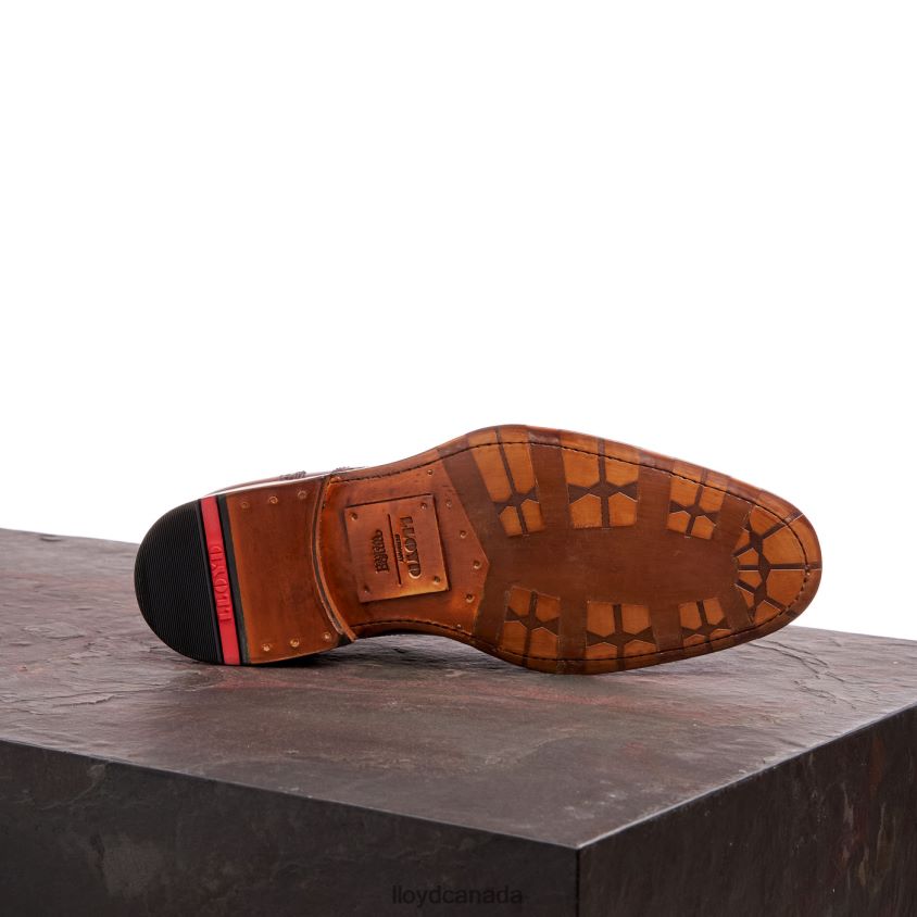 WATERLOO LLOYD Men brown R084ZF21 Shoes