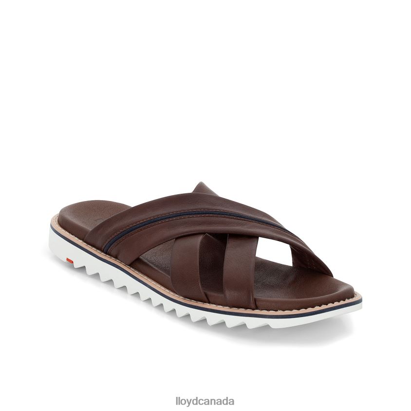 EDVINO LLOYD Men brown R084ZF584 Shoes