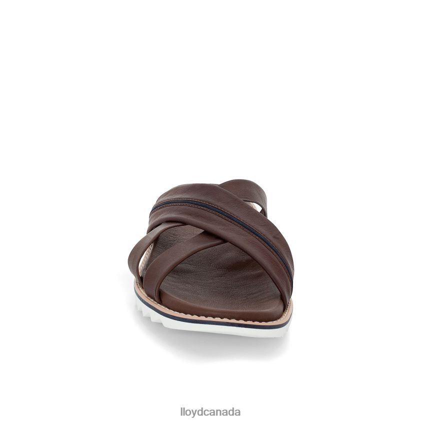 EDVINO LLOYD Men brown R084ZF584 Shoes