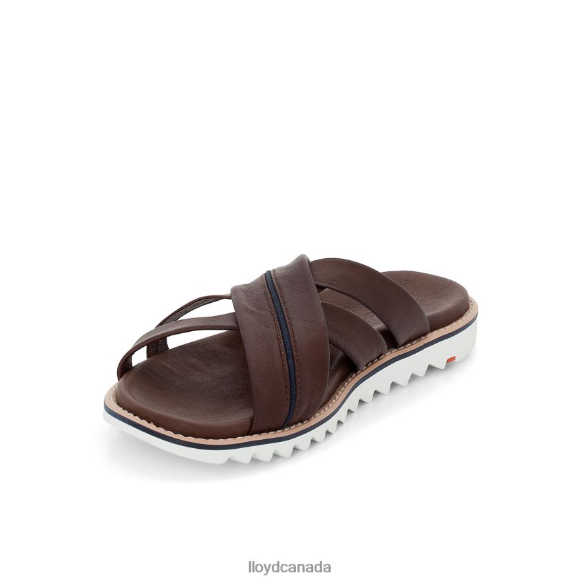 EDVINO LLOYD Men brown R084ZF584 Shoes