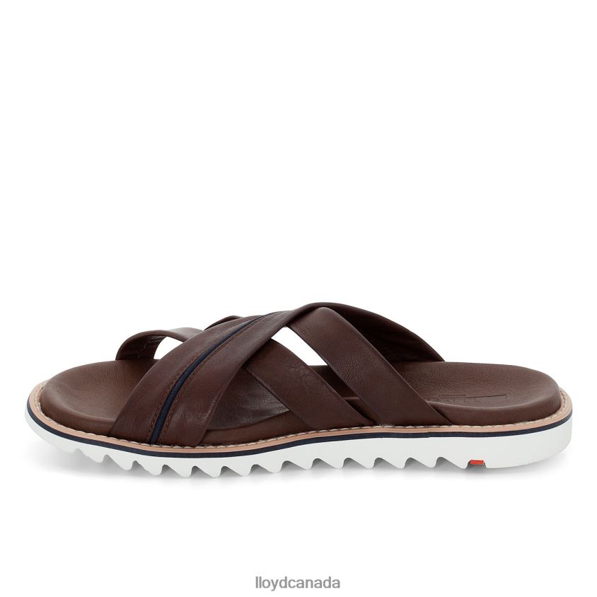 EDVINO LLOYD Men brown R084ZF584 Shoes